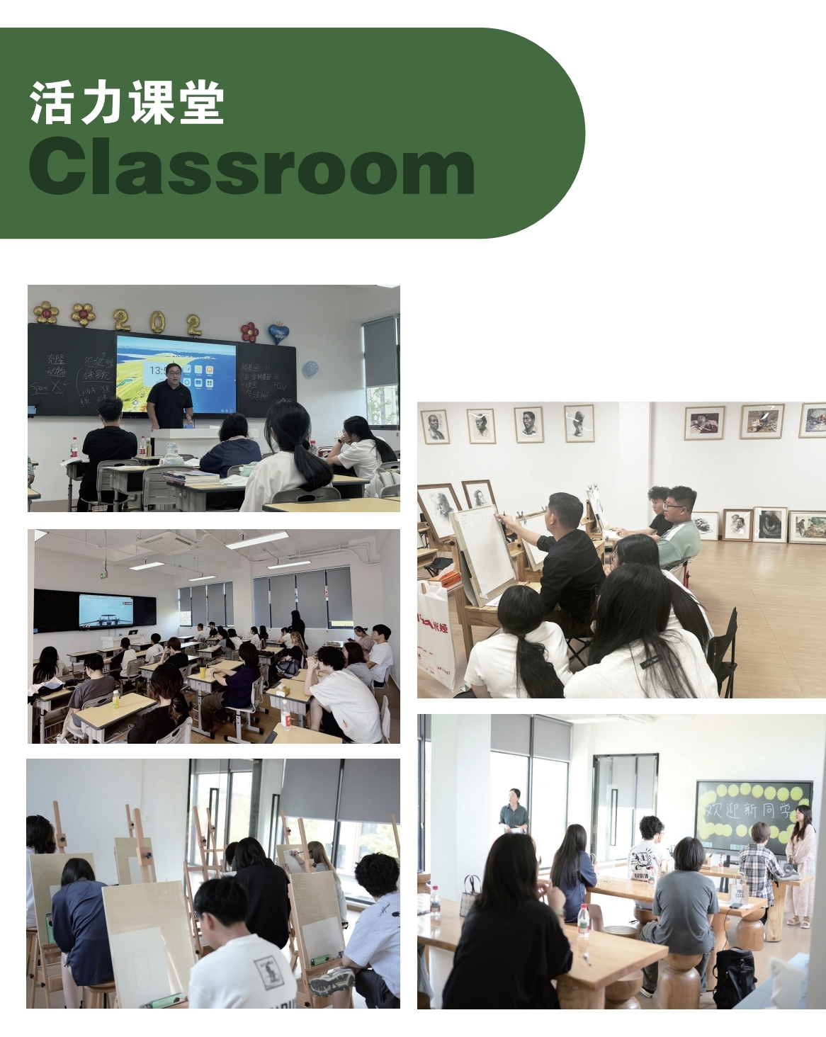 �Ϻ��ɽ����Ž�������